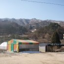 백운산계곡 화장실 Daum카페