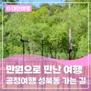 여행친구공정여행 | 만원으로 만난 특별한 여행! - 대전 공정여행 성북동 가는 길