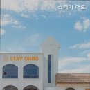 스테이 다로 네이버블로그