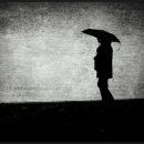 Rain. Whole. Day - Shadegrown 이미지