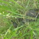 서울시 야생동물 구조관리센터 이미지