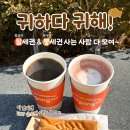 세권 | 팔세권 &amp; 붕세권 사는 사람 모여라~