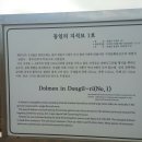 태흥3리 | 고인돌을 제주 대정읍에서 보네~~~