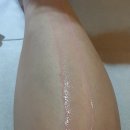 수원-1339 이미지