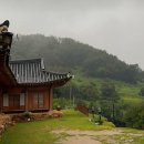 구룡산민박 이미지