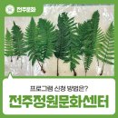 정원의 조성과 관리 | 전주정원문화센터 프로그램 식물특강 후기 – 프로그램 신청 방법은?