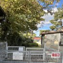 705 | 제주애월 애견펜션 제주댕댕이파크 리조트 705호 이용 후기