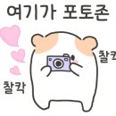 일품왕족발보쌈 이미지