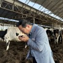 선도목장 이미지