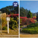 사구해수욕장2 이미지