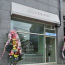 이웃집 댕댕이 이미지