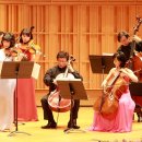 kt체임버홀 이미지