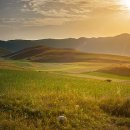 조례부동산공인중개사사무소 이미지