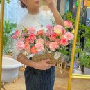 프롬니나 이미지