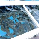 주문진 수산횟집 이미지