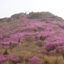 행복의 동산 이미지