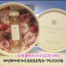 위자드오브오즈