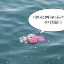 파인주 이미지