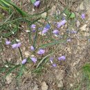 뜨락농원 이미지