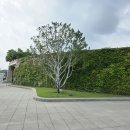 원주 산 뮤지엄 (Museum SAN)에 다녀와서 이미지