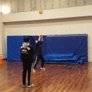 엘리트체대입시