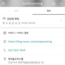 Just Grooming 이미지