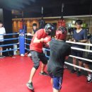 뻔치복싱클럽 이미지