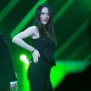 골든디스크 크리스탈 이미지