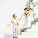 [웨딩] 웨딩크라우드 - 지니어스 스튜디오 웨딩촬영후기/숨고 헤어변형ON(온) 내돈내산 솔직후기