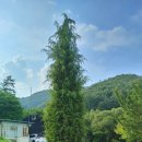 숲속황토구들장 이미지