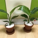 새동그라미어린이집 이미지