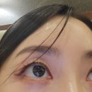 디에르 영등포점
