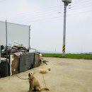 맛디아농장 이미지