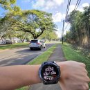 피닉스PC | 가민 피닉스 8 구매 전 필독! 47mm &amp; 51mm 그리고 솔라&amp;아몰레드 선택 이유와 189만원 vs 140만원 득템...