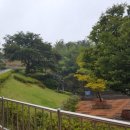 통창공원 이미지