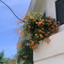 포이제 | [군산] 월명동 디저트카페 "포이제"