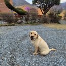 챌린저PC방 이미지