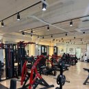 트라이짐 이미지