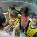 줌줌랜드 이미지