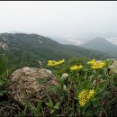 뽀삐뽀삐 이미지