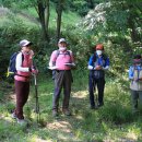 불당골세천 이미지