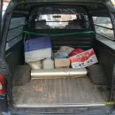 그레이스 이미지