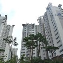 신도공인중개사사무소 이미지