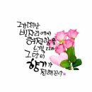 부경볼링회 11월17일 금요일출석부 이미지