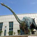 공룡박물관 이미지