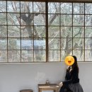 (주)씨스테이 야영장 | 경주의 고즈넉한 쉼, 유온스테이 자쿠지 감성 숙소 내돈내산 후기
