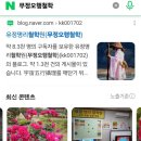 용신20 이미지