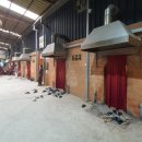 청운오토캠핑장 이미지