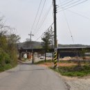 반남박씨 대종중 묘역 이미지