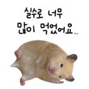 진고기명가 이미지